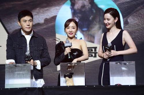 娱乐圈综艺吃瓜爆料